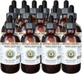 Hawaii Pharm Blessed Thistle Alcohol-Free Liquid Extract Blessed Thistle (Cnicus benedictus) Dried Leaf Stem and Flower Glycerite Natural Herbal Supplement 15x4 oz