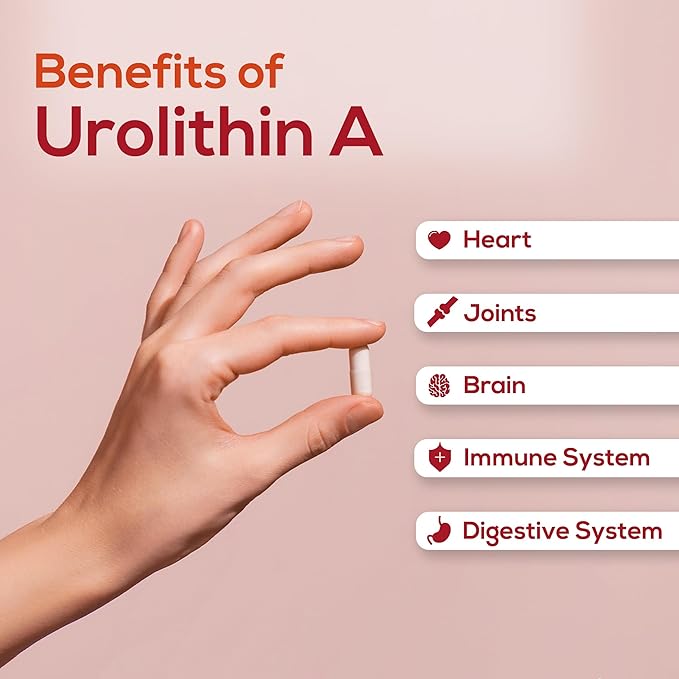 Urolithin A Supplement Advance Support Capsule 60 Capsules 30-Day Supply Proudly USA Company