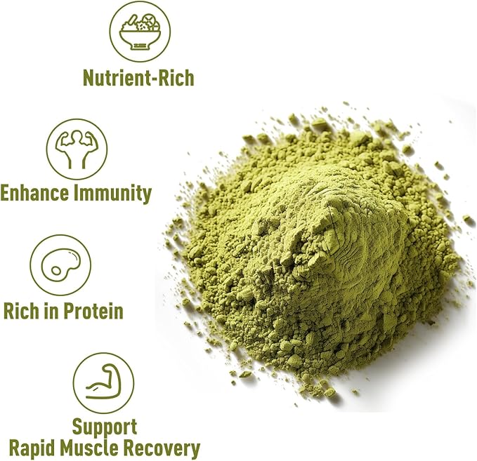 Unleash’d Organic Pumpkin Seed Protein Powder 16oz – Plant-Based Vegan Protein USDA Organic Non-GMO No Artificial Sweeteners