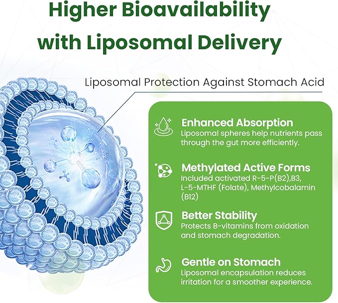 Liposomal B Complex for High Absorption Methylated B12L-Methyfolate(5-MTHF )Full Active B Vitamins with Choline Inositol-Energy MetabolismBrain &amp Heart SupportVegan Non-GMO3 Month Supply