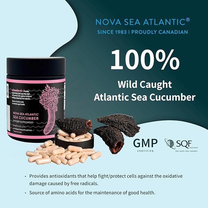 Wild Sea Cucumber Supplement Capsules Antioxidant Healthy Energy Supplement with Fucosylated Chondroitin Sulfate Collagen Glycosides Vitamins Minerals(Pack of 12)