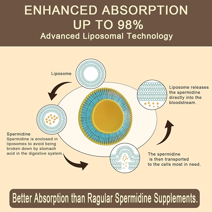 Spermidine Supplement 15 MG - 99% Purity High Absorption 1500 MG Fermented Wheat Germ Extract with Zinc &amp Thiamin Spermidine for Men &amp Women - Cellular Renewal Aging Defense Energy 120 S