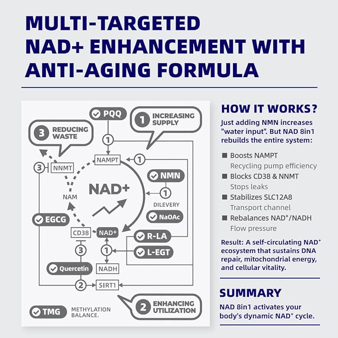 Advanced NAD+ Supplement with NMN Complex PQQ Alpha Lipoic Acid &amp Ergothioneine – Antioxidant Support for Anti-Aging Cellular Energy Brain Support &amp Longevity Formula for Men &amp Women