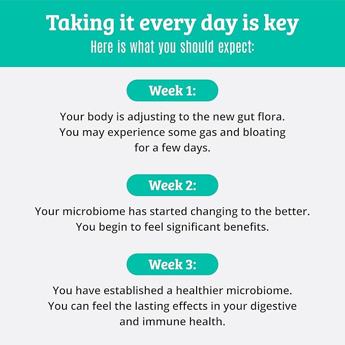 Prebiotics and Probiotics: Lactobacillus Gasseri Lactobacillus Rhamnosus Plantarum Casei Bifidobacterium longum lactis infantis. Probiotic Prebiotic Pre and Probiotics for Digestive Health.