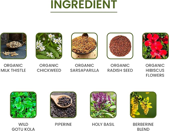 Green Organic Supplements' Blood Purifier