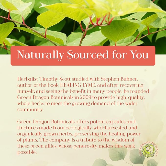 Japanese Knotweed Capsules 500 mg 100 Capsules Made in USA - Natural Source of Resveratrol Immune Support Supplement Non-GMO Gluten-Free Vegetarian Japanese Knotweed Root for Cardiovascular Health.*