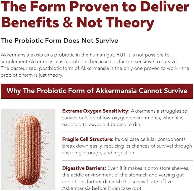 AK-Postbio: Akkermansia Probiotic 30 Billion TFU - Max Strength Clinically Validated Dose &amp Patented Strain - Superior Pasteurized Form Highest Absorption Delivery - GLP-1 Probiotic - 30 Servin