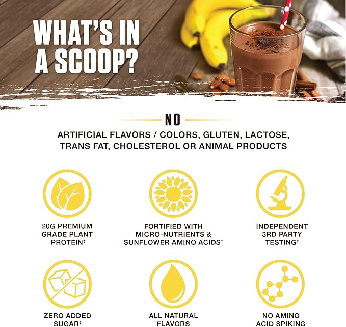 Ambrosia Planta - Premium Plant-Based Protein | Vegan &amp Keto Friendly | Gourmet Flavors with No Bloating or Stomach Upset | No Added Sugar | 14 Servings | (Banana Maple)