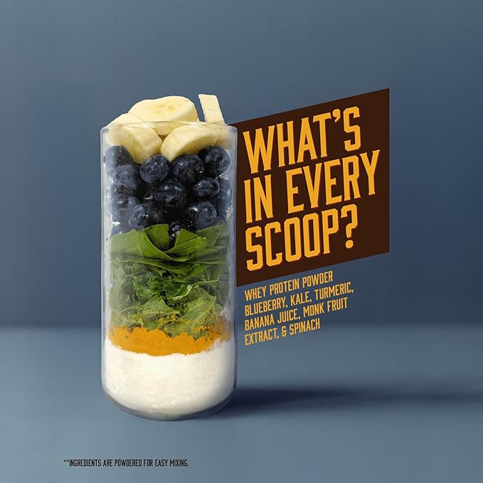 Vanilla Protein Smoothie Powder – 25G Whey Protein + Real Fruits &amp Vegetables – Blueberry Banana Monk Fruit Kale Spinach Turmeric Coconut Milk – Smooth Texture Great Taste – 15 Servings