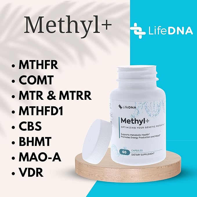 LIFEDNA Methyl + Methylfolate - Methylated Folate Vitamins Active 5-MTHF TMG Optimized Homocysteine Brain Cardiovascular Highly Bioavailable MTHFR Supplement