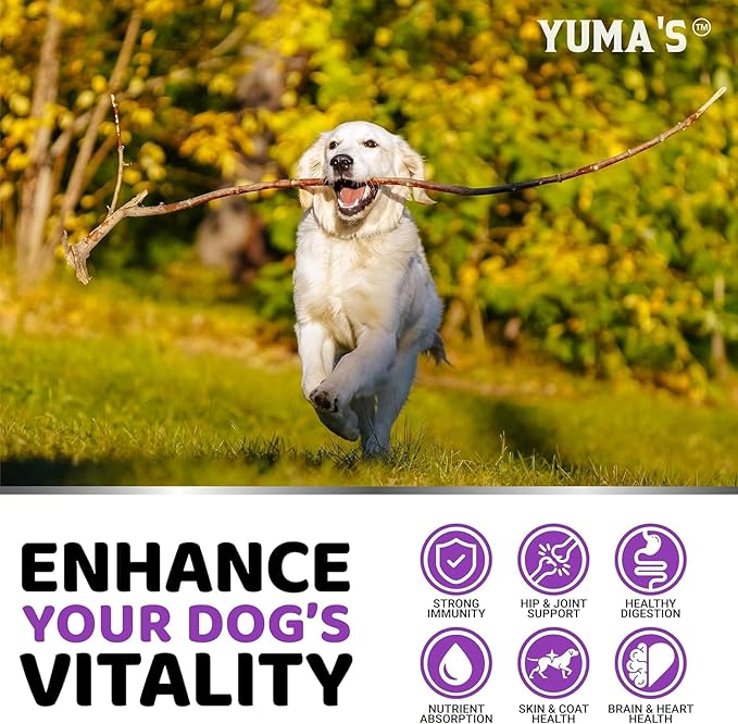 2-Pack Dog Multivitamin Chewable with Glucosamine - Dog Vitamins and Supplements - Senior &amp Puppy Multivitamin for Dogs - Hip &amp Joint Support - Immune Health Skin Heart Digestion Probiotic