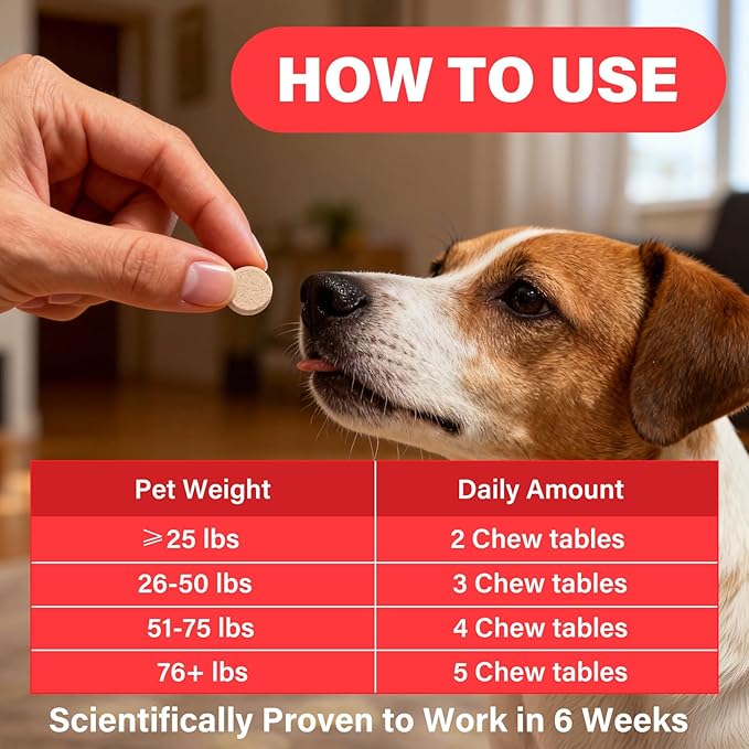 Iron Supplement for Dogs – Supports Blood Health Red Blood Cell Formation &amp Oxygen Supply for Anemia Vitamin C Folate Vitamin B12 Boost Energy and Improve Blood Circulation 120 Tablets