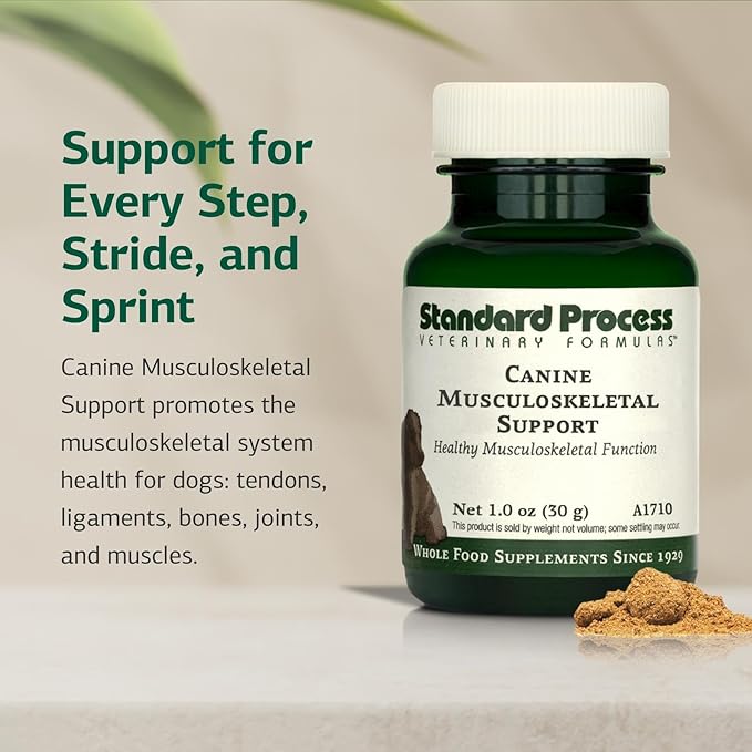 Standard Process Canine Musculoskeletal Support - Bone &amp Joint Health Formula for Pets - Canine Musculoskeletal Support Supplement - Supplement for Dogs to Aid Joint Comfort &amp Muscle Health -