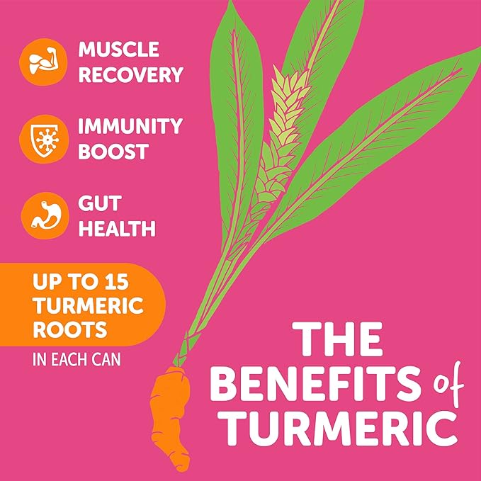 ZYN Turmeric Wellness Drink (24 Pack) Mixed Berry Flavored Turmeric Curcumin Drink with Black Pepper No Added Sugar Low Carb &amp Low Calorie Drink Clean Alternative