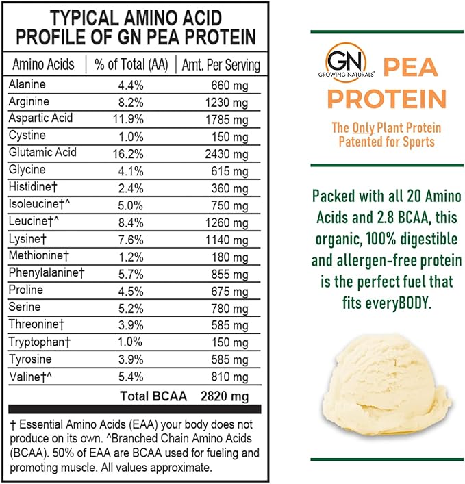 Growing Naturals Raw Pea Protein Powder Vegan Plant Based Protein BCAA Low-Carb Low-Sugar Vanilla Blast 2 Pound (Pack of 1)