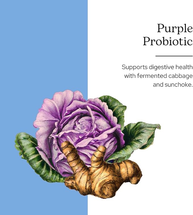 Eclectic Herb - Purple Probiotic Capsules | Digestive + Intestinal Support | Freeze Dried Concentrated Herbal Supplement | Vegan Non-GMO Gluten Free (90 CT | 300 mg)