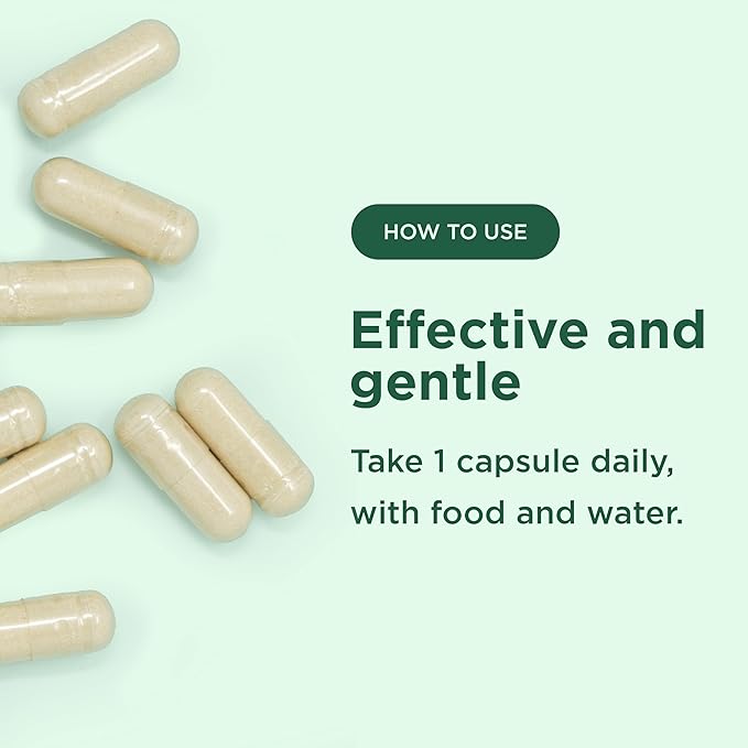 Yuve 100% Vegan Whole Food Chelated Iron Supplement 18mg – Tasteless Non-Constipating Gentle on Stomach Energy Support – Gluten-Free Non-GMO 60 Capsules