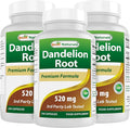 Best Naturals Dandelion Root 520 mg 250 Capsules (Pack of 3)