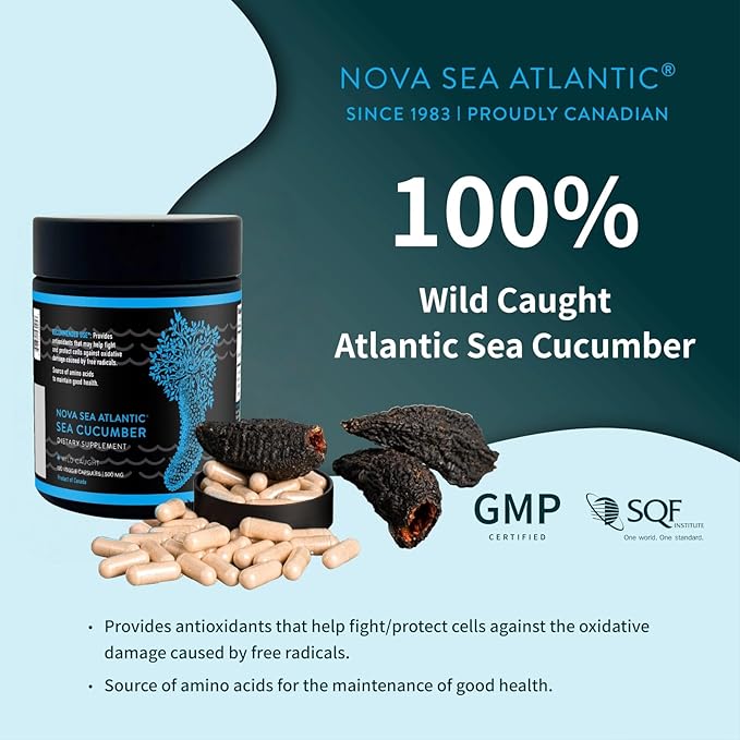 Wild Sea Cucumber Supplement Capsules Antioxidant Healthy Energy Supplement with Fucosylated Chondroitin Sulfate Collagen Glycosides Vitamins Minerals