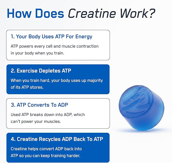 SteelFit Creapure Creatine Monohydrate Gummies for Men &amp Women Blue Raspberry - Gym Workout Nutritional Supplements for Muscle Gain Brain Health &amp Strength Building Dietary Supplement 120 G