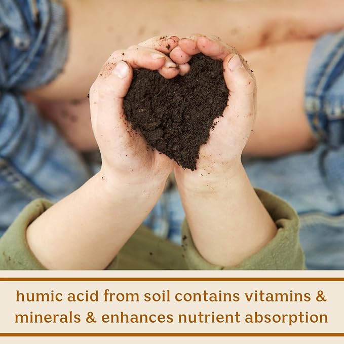 Feel Good SBO Probiotics — Soil Based Organisms (SBOs) Prebiotics Postbiotics Humic Acid Shilajit Chaga &amp Turkey Tail Mushroom for Digestion — Solluna by Kimberly Snyder (60CT) Vegan &amp No