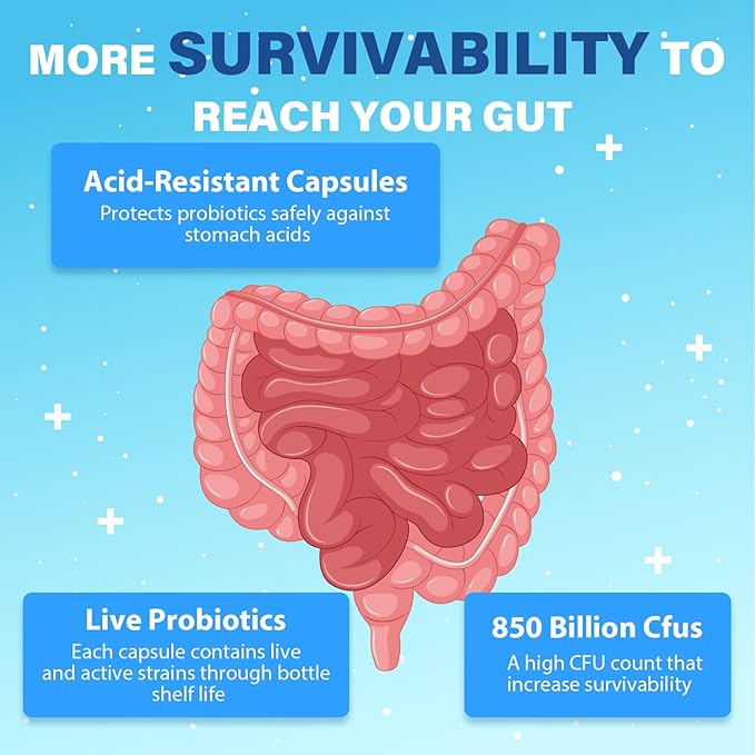 Probiotics for Men Advanced 50+ Mens Probiotic Comprehensive Gut &amp Energy Support with 850 Billion CFU 1800mg Prebiotics Fiber – Tailored Wellness mens probiotics for gut health over 50 180Cap