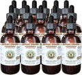 Hawaii Pharm Turmeric Alcohol-Free Liquid Extract Professional Grade Small Batch Crafted Turmeric (Curcuma Longa) Dried Rhizome Glycerite Natural Herbal Supplement 15x4 fl.oz