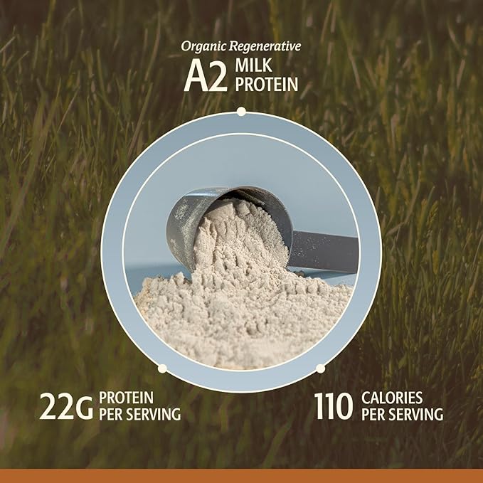 Men’s Whey Protein Powder Vanilla Grass Fed A2 Regenerative Whey with KSM-66 Ashwagandha® &amp Acti Veda™ (22g Protein)