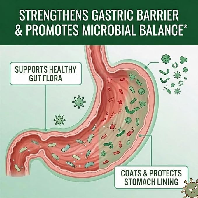 Approved Science Pyloriprin - Advanced Digestive Support for A Healthy Stomach - Zinc L-Carnosine Probiotic Broccoli Sprout Deglycyrrhized Licorice - 180 Capsules - Three Month Supply - Vegan
