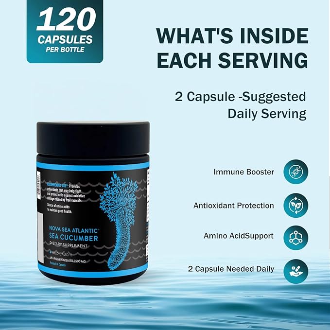 Wild Sea Cucumber Supplement Capsules Antioxidant Healthy Energy Supplement with Fucosylated Chondroitin Sulfate Collagen Glycosides Vitamins Minerals