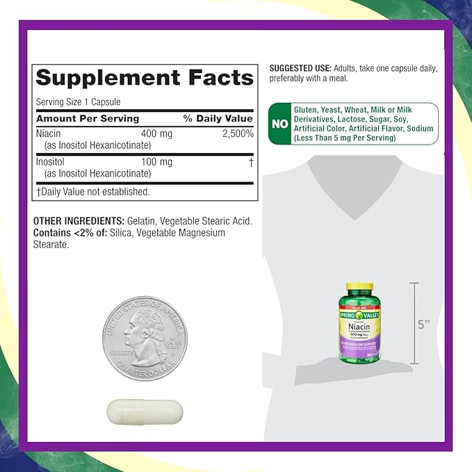 Vitamin B3 Niacin 500mg Flush Free Capsules Dietary Supplement 240 Pills (Pack of 1)