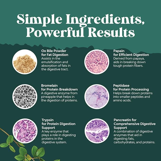 Bundle of Cleansing Herbal Liver Detox Gummies with Artichoke Extract Turmeric Curcumin &amp L-Carnitine and Digestive Enzymes with Ox Bile Trypsin Papain &amp Bromelain Enzyme for Pancrease Cleanse