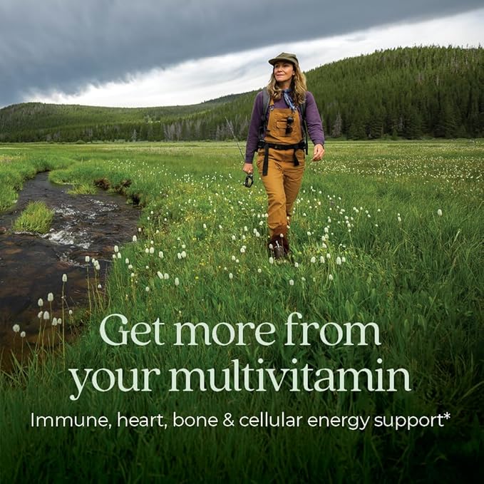 New Chapter Women’s Multivitamin 55+ Astaxanthin B6 B12 D3 Vitamin C &amp Zinc Immune Heart Cellular Energy and Bone Support Gentle on The Stomach One Daily Non-GMO Gluten-Free 48 Table
