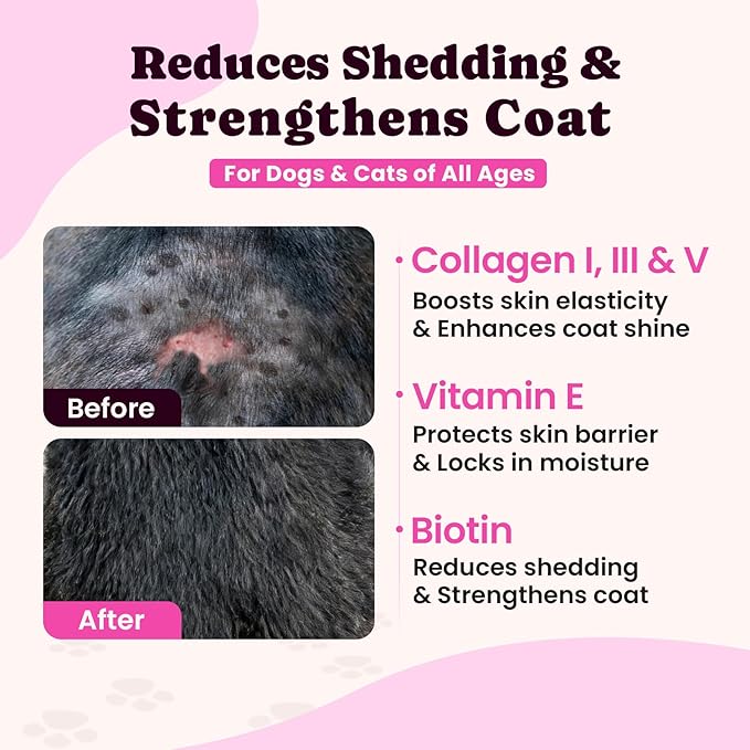 Dog Skin &amp Daily Wellness Support Bundle – Collagen Liquid Drops with Multivitamin Chews for Overall Health