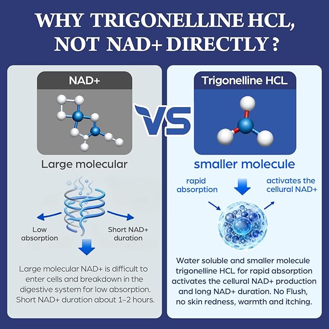 NAD Supplement - NMNH Alternative with Trigonelline HCL 500mg &amp Resveratrol - NAD+ Precursors Plant Extraction - Support Cellular Energy &amp Healthy Aging &amp Brain for Women &amp Men - 90 Ca