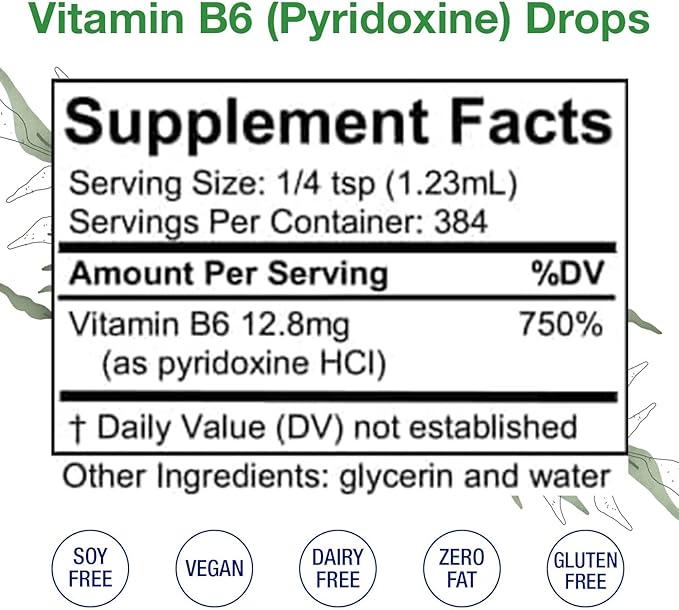 Vitamin B6 (Pyridoxine) Drops – Liquid Vitamin B Drops for Natural Brain Function Support Blood Vessels &amp Immune Support – Liquid Vitamin Mood Supplement – Alcohol-Free Health Supplement (16 Fl O