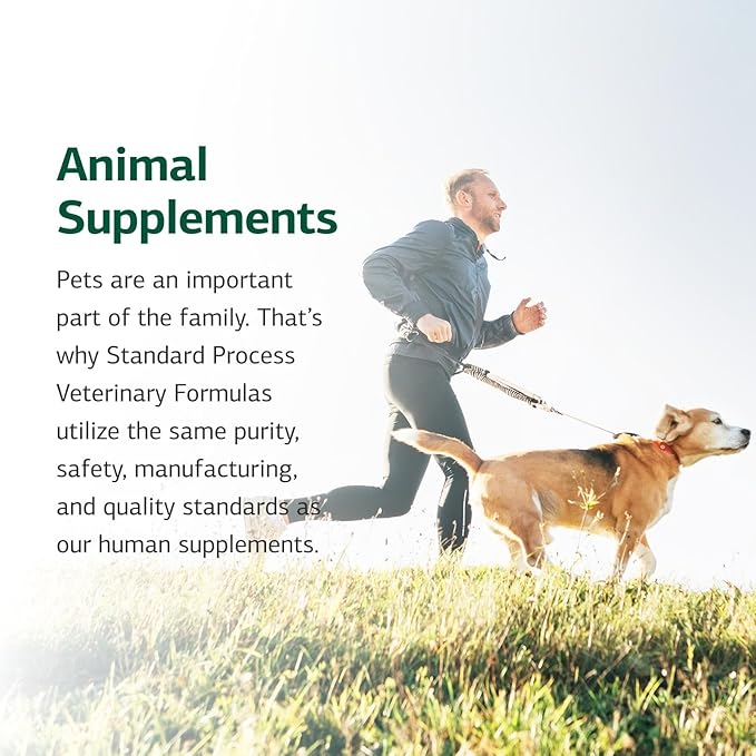 Standard Process Canine Musculoskeletal Support - Bone &amp Joint Health Formula for Pets - Canine Musculoskeletal Support Supplement - Supplement for Dogs to Aid Joint Comfort &amp Muscle Health -