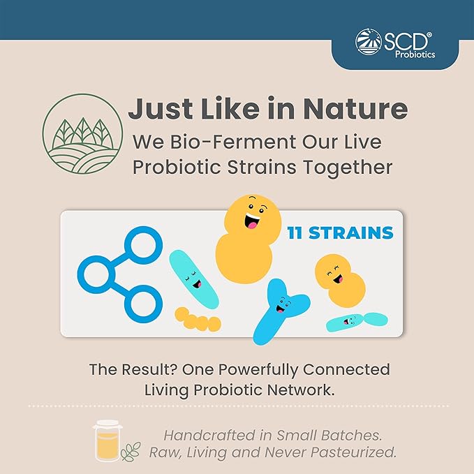 SCD Probiotics SCD Essential Probiotics for Women Men Kids and Toddlers Live Probiotic for Digestion and Immunity Gut Health Liquid Probiotic Supplement with 11 Strains – 16.3 fl oz (3 Pack)