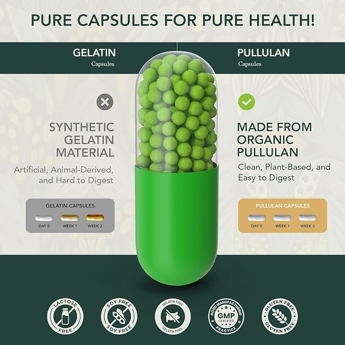 Men &amp Women’s Multivitamin Bundle – Daily Methylated Vitamins with Clean Organic Ingredients – Energy Vitality &amp Immune Support – 120 &amp 30 Capsules – Natural Wellness for Adults