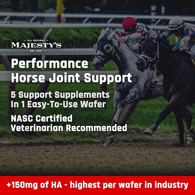 Majesty's Flex Wafers - Superior Horse/Equine Joint Support Supplement - Glucosamine MSM Chondroitin Yucca Vitamin C (Peppermint 60 Count)