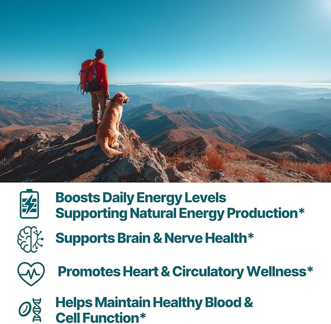 Plus B 11-in-1 Beadlet Capsule – Complete B-Complex with B1 B2 B3 B5 B6 B7 B9 B12 – Timed Release for Energy Vitality Brain Heart Immune Mood &amp Overall Wellness