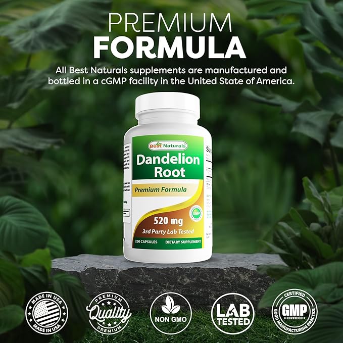 Best Naturals Dandelion Root 520 mg 250 Capsules (Pack of 2)