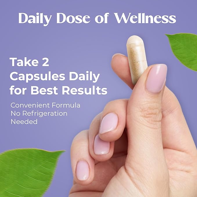 Daily 3 in 1 Probiotics &amp Prebiotics | Ashwagandha &amp Other Herbal Ingredients Probiotics for Women and Men | 60 Capsules