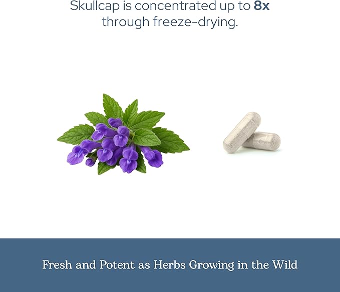Eclectic Herb - Skullcap Capsules | Natural Sleep Calm &amp Relaxation Support | Herbal Supplement | Vegan Non-GMO Gluten Free Raw Freeze-Dried (90 CT | 350 mg)