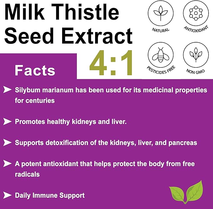 Milk Thistle Powder 100 Percent Pure 4 to 1 Concentrate Herbal Supplement to Support Detox and Body Cleansing (8 Ounce)
