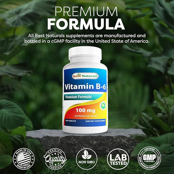 Best Naturals Vitamin B-6 100 mg 250 Tablets (Pack of 3)