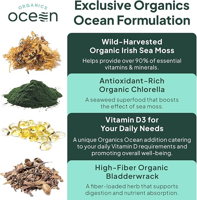 Organics Ocean Wild Sea Moss Capsules - 100% Organic Irish Sea Moss with Organic Chlorella Bladderwrack and Vitamin D for Energy Lung Health and Thyroid Support for Women and Men - 6 Bottles