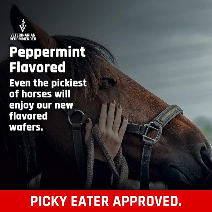 Majesty's Flex XT Wafers - Superior Horse/Equine Joint Support with Increased Supplement Levels - Glucosamine MSM Yucca Vitamin C (Peppermint 2 Pack (120 Count Total))