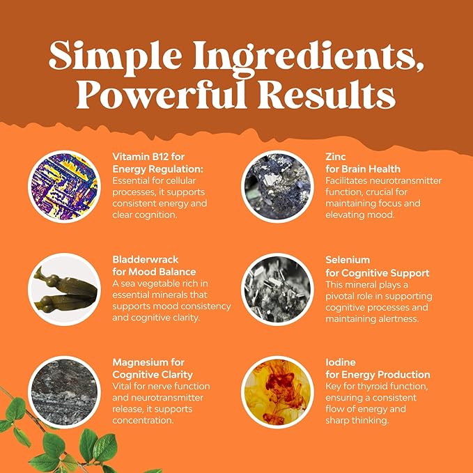 Bundle of Green Coffee Bean Extract for Uric Acid Cleanse &amp Detox with Turmeric Tart Cherry &amp Celery Seed and Herbal Thyroid Support Complex with L Tyrosine Bladderwrack Selenium &amp Pure