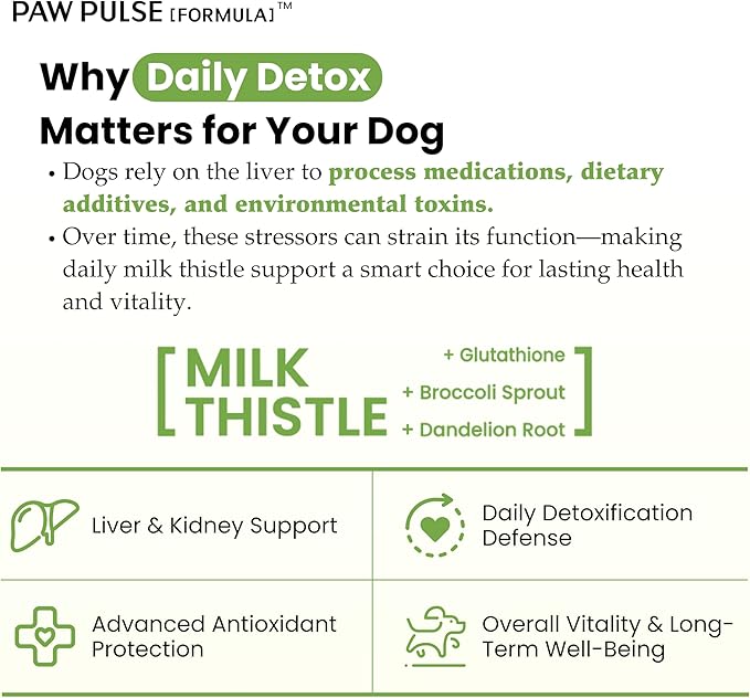 Pawpulse Formula Milk Thistle for Dogs – Liver &amp Kidney Support Powder with Silymarin &amp Glutathione – Daily Detox Antioxidant &amp Metabolic Natural Support 2.12 oz